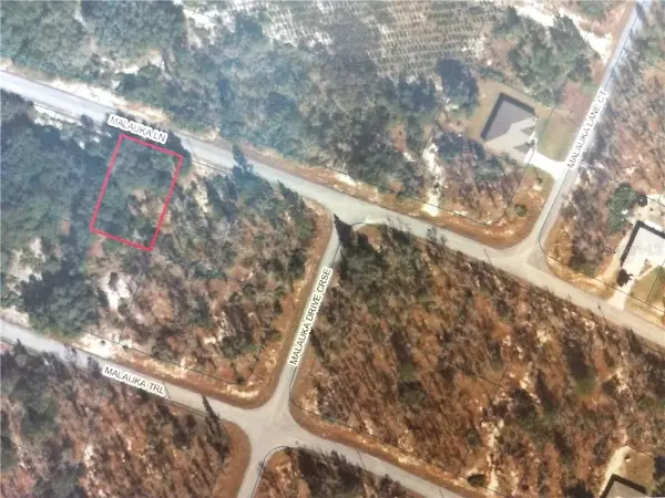 0 MALUKA LN, Ocklawaha, FL 32179
