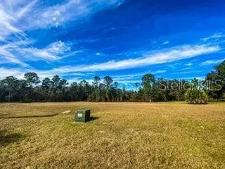 Groveland, FL 34736,FALABELLA CT