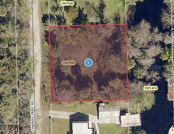 CHERRY TREE RD, Astor, FL 32102