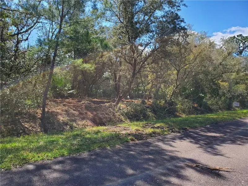 CHINABERRY ST, Eustis, FL 32736