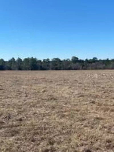 Morriston, FL 32668,0 SE 80TH ST