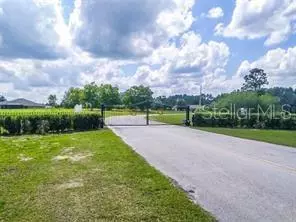 Clermont, FL 34714,OCILLA LOT #81 LOOP