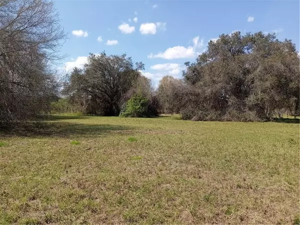 Clermont, FL 34714,OCILLA LOT #81 LOOP