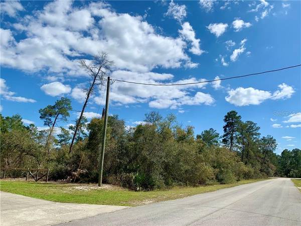 Lot 6 & 7 DAHLIA ST, Eustis, FL 32736