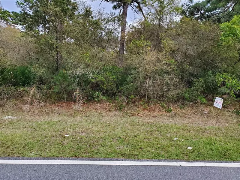 Lot 10 ROYAL TRAILS RD, Eustis, FL 32736