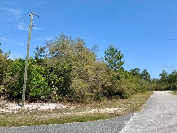 Eustis, FL 32736,Lot 8 LOCUST ST