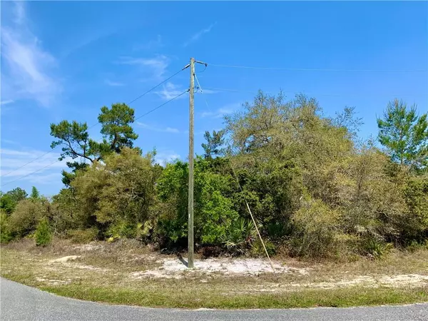 Lot 8 LOCUST ST, Eustis, FL 32736