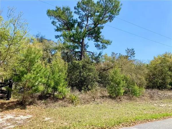 Eustis, FL 32736,Lot 8 LOCUST ST