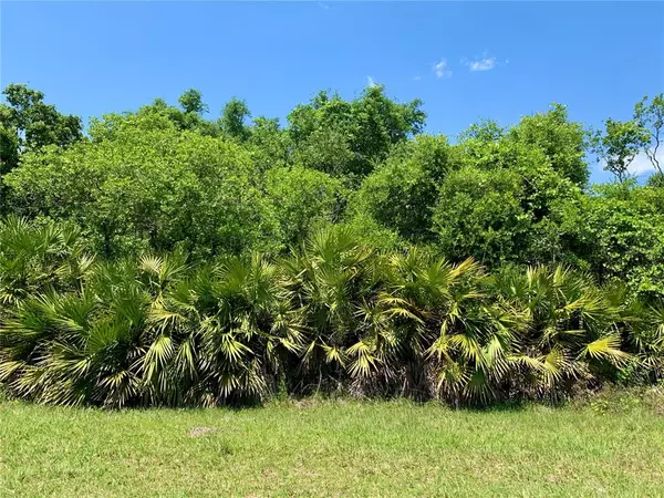 Eustis, FL 32736,Lot 2 TAMARAC ST