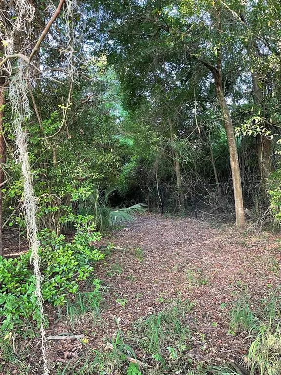 17234 RIDGEWOOD AVE, Montverde, FL 34756