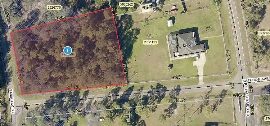 SAFFRON AVE, Eustis, FL 32736