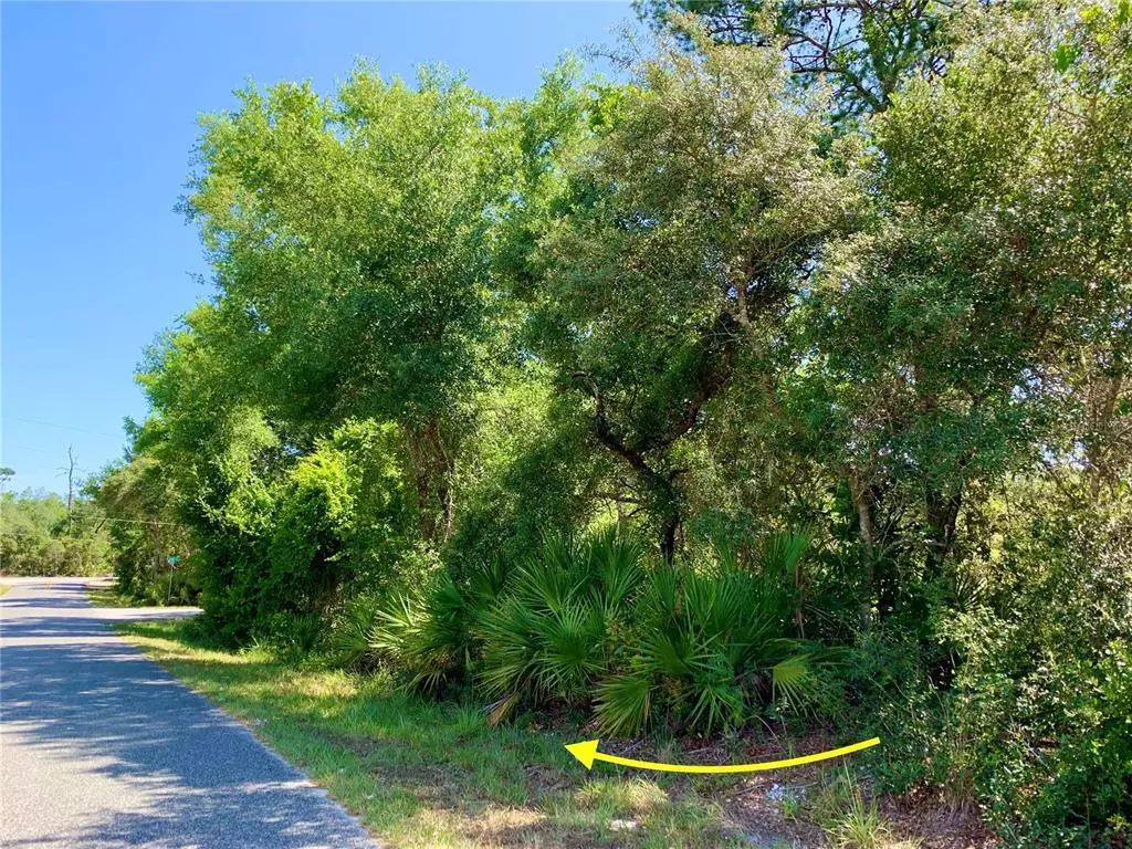 Paisley, FL 32767,LOTS 29, 30, 31, 32 JEAN AVE