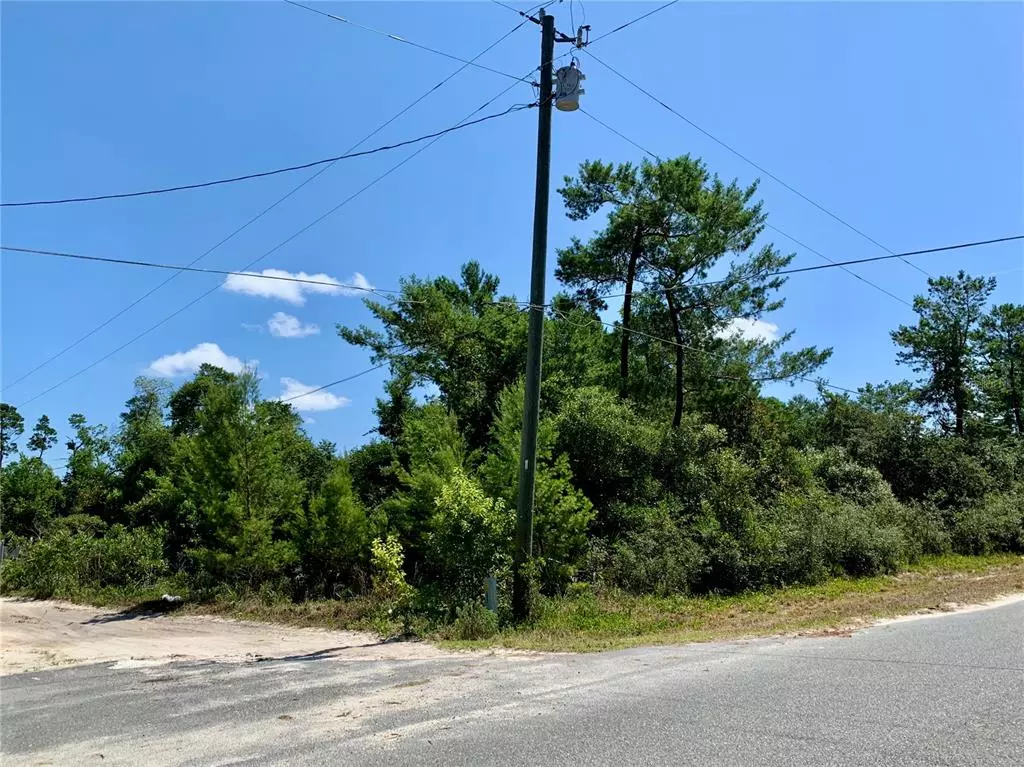 Paisley, FL 32767,Lots 21, 22, 23, 24 OAK ST