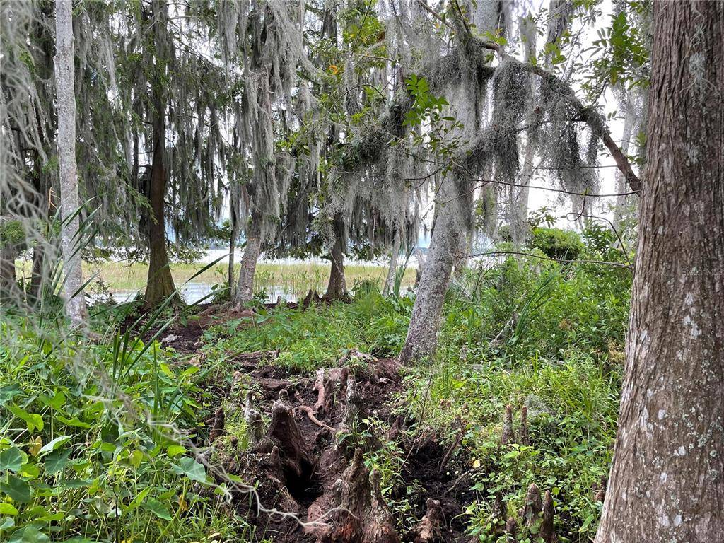 FLORIDA AVE, Astatula, FL 34705