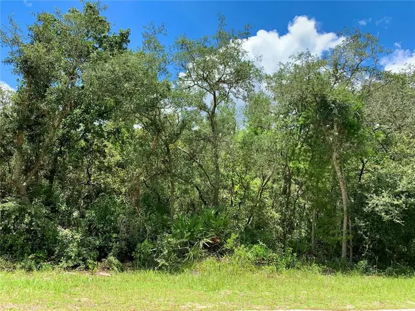 Eustis, FL 32736,Lot 8 E THYME AVE