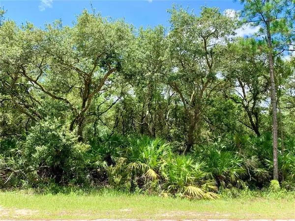 Eustis, FL 32736,Lot 8 E THYME AVE