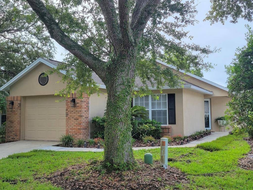 3014 ANDOVER CT, Mount Dora, FL 32757