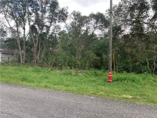 Ocala, FL 34473,lot 12 SW 44TH CIR