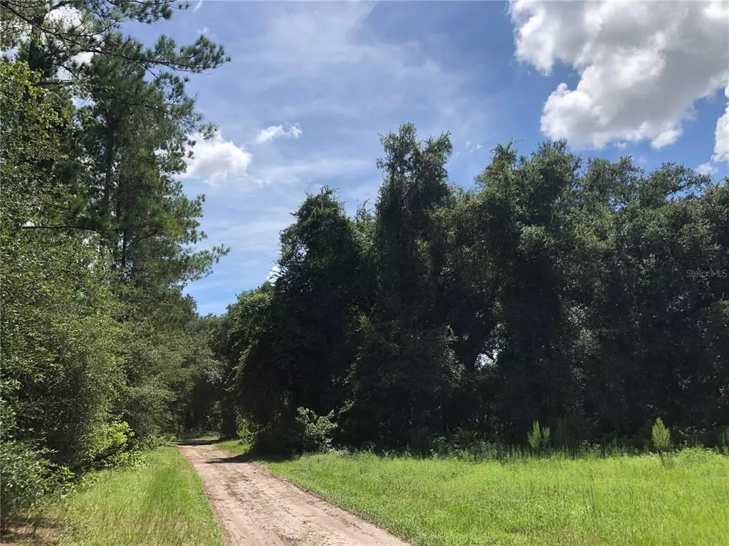 Bushnell, FL 33513,SE 44TH PLACE