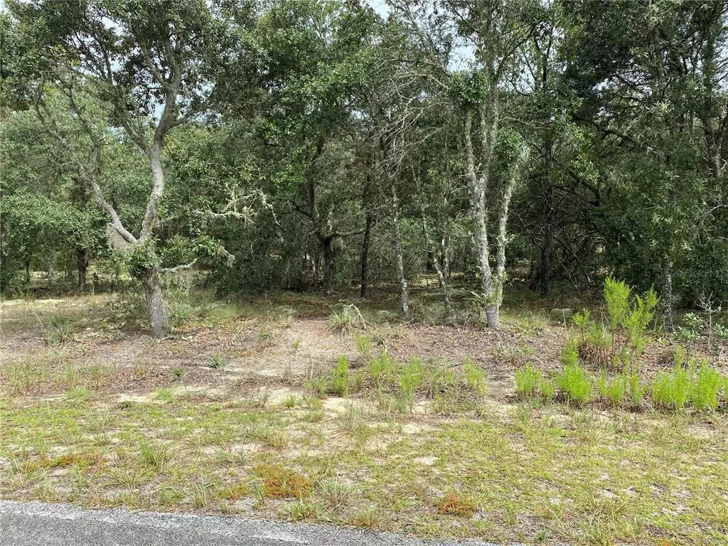 Dunnellon, FL 34431,TBD SW PINE BLUFFS RD