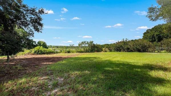 COUNTY ROAD 48, Yalaha, FL 34797