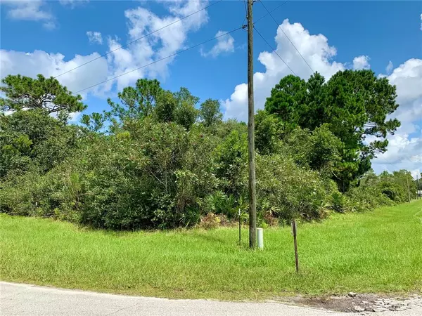 Eustis, FL 32736,LOT 15 VIOLA WAY