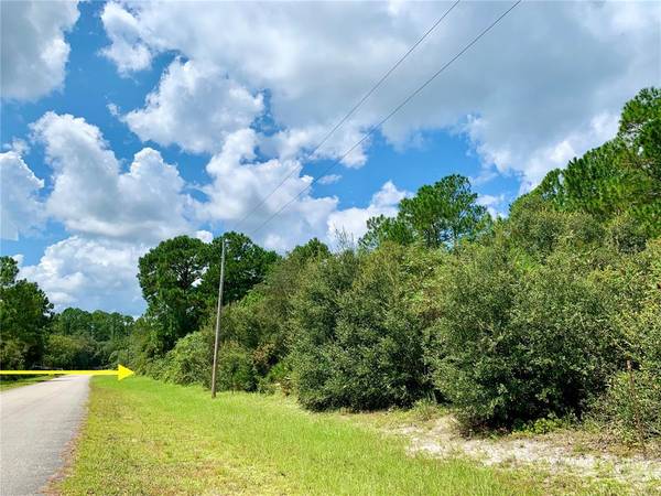 LOT 15 VIOLA WAY, Eustis, FL 32736