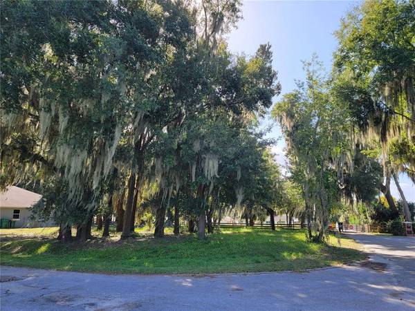 LOT 1 MEADOWSIDE DR, Eustis, FL 32726