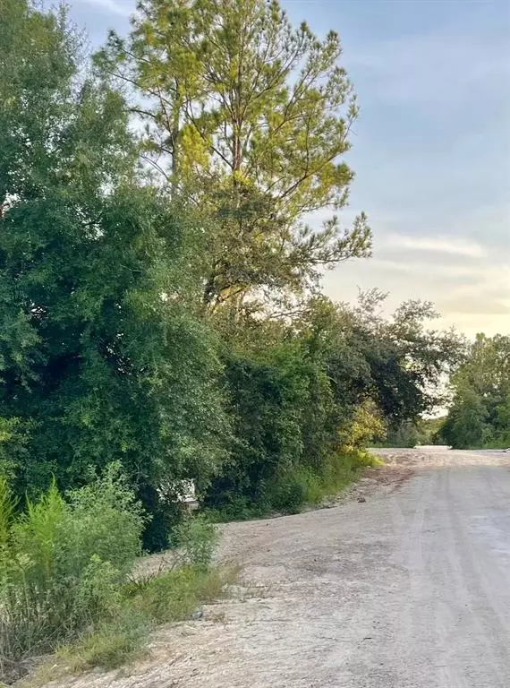 MEDICINE STONE DR, Webster, FL 33597