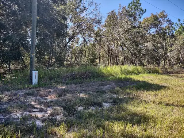 LOCUST ROAD, Ocala, FL 34472