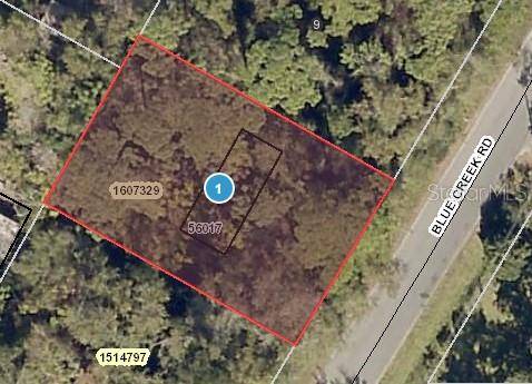 BLUE CREEK RD, Astor, FL 32102