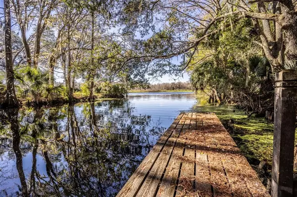 Lake Panasoffkee, FL 33538,4925 CR 309B