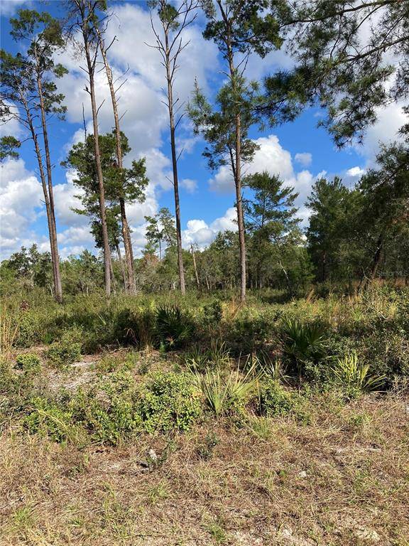 FISHERMANS RD, Paisley, FL 32767