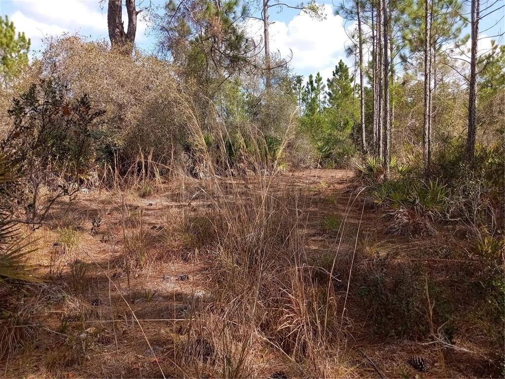 Clermont, FL 34714,3301 SALYERS RD