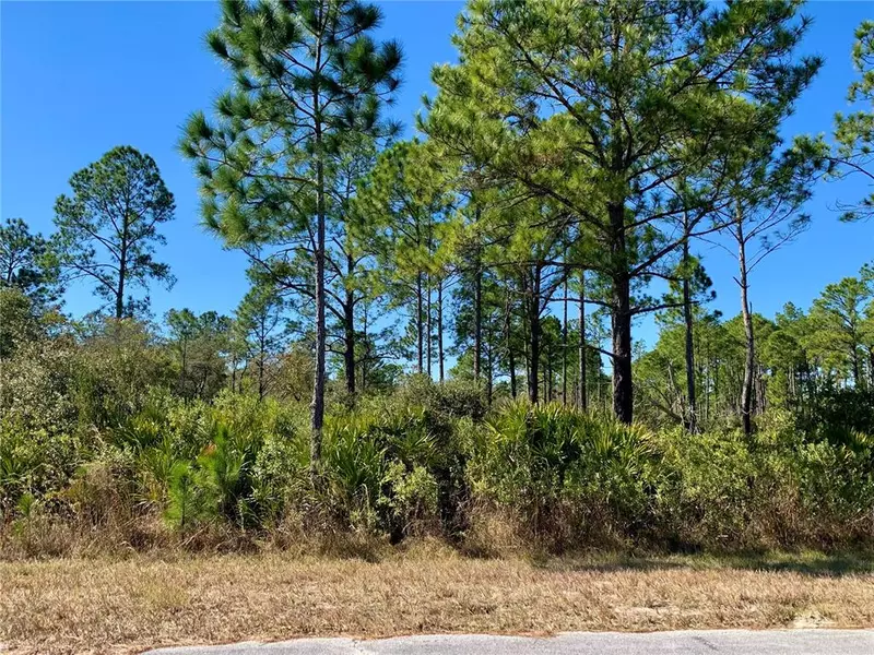 Lot 8 and 9 HONEYSUCKLE ST, Eustis, FL 32736