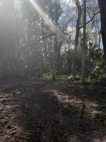 COUNTY ROAD 405, Lake Panasoffkee, FL 33538