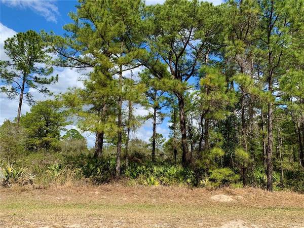 Lot 12 APRICOT AVE, Eustis, FL 32736