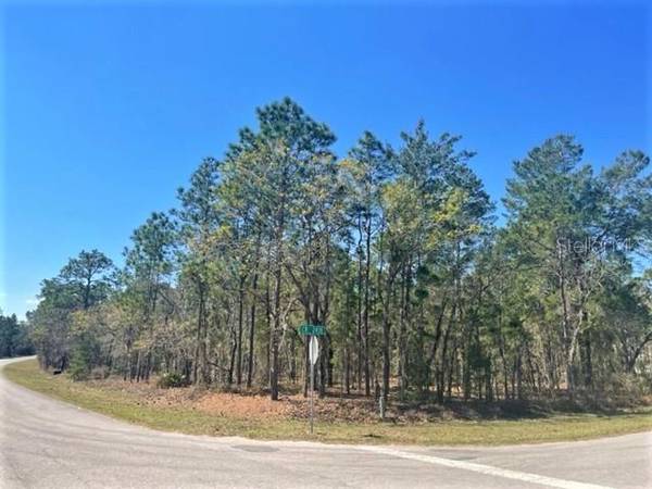 0 CR 243 E  LOT 30, Wildwood, FL 34785