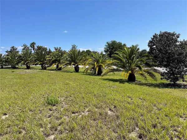 Groveland, FL 34736,17201 LOT 71 ROYAL PALM DR