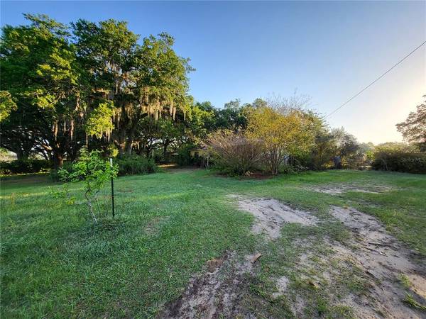 41752 THOMAS BOAT LANDING RD, Umatilla, FL 32784