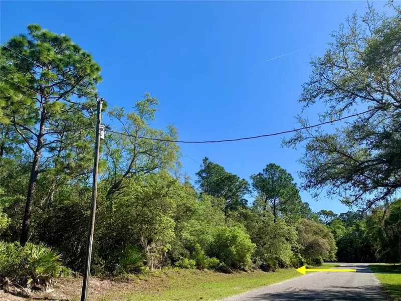 Lot 9 APRICOT AVE, Eustis, FL 32736