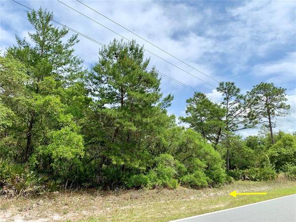 Lot 7 ROYAL TRAILS, Eustis, FL 32736