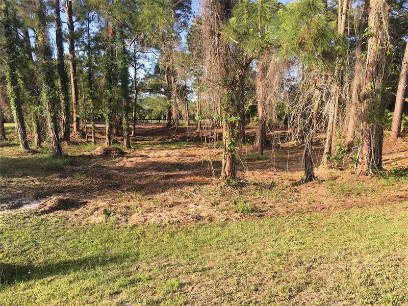 GREENBRIER ST, Eustis, FL 32736