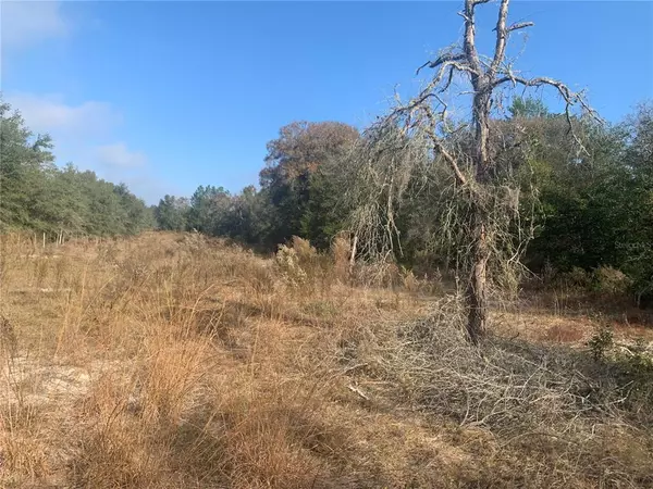 Dunnellon, FL 34433,8308 N NASTURTIUMS TER