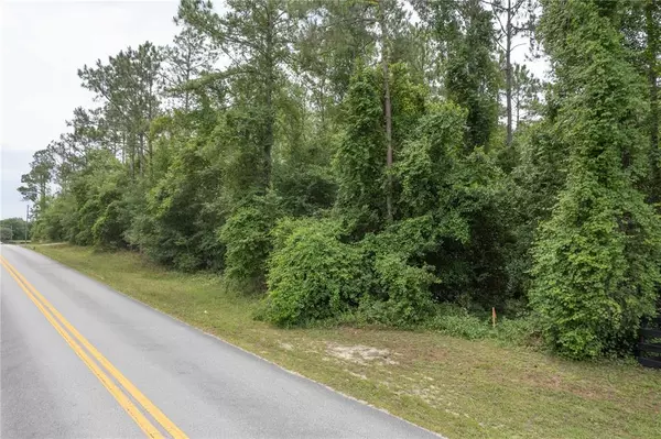 Eustis, FL 32736,LAKE SENECA RD