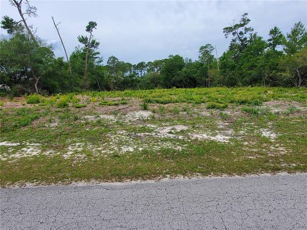 Lot 5 ASPEN CT, Eustis, FL 32736