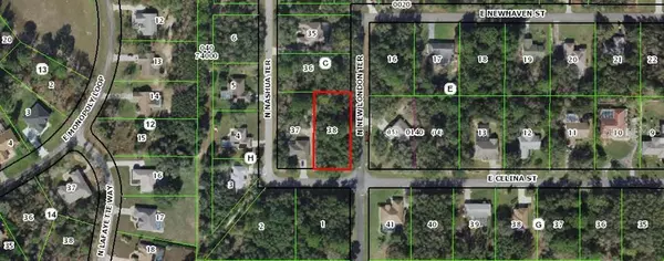 1973 E CELINA ST, Inverness, FL 34453