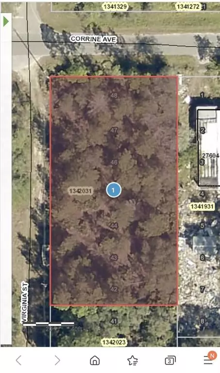 TBD VIRGINIA ST, Paisley, FL 32767