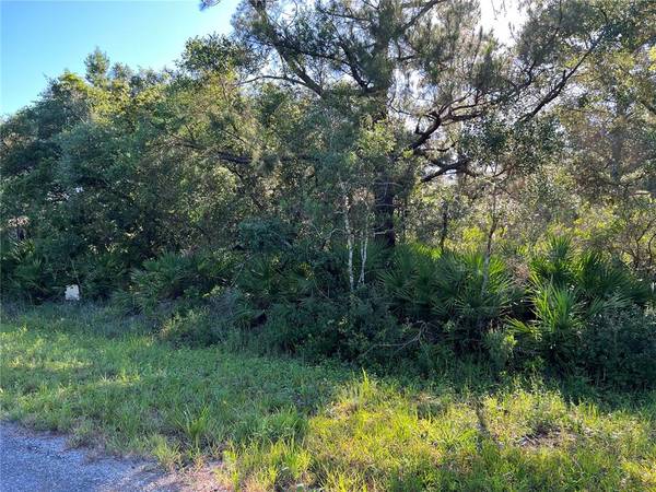 E CASHEW CT, Eustis, FL 32736