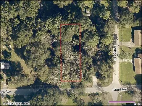 GRANT AVE, Eustis, FL 32726